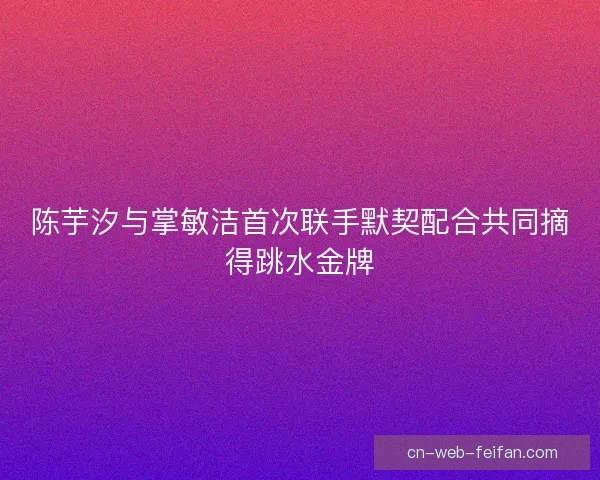 陈芋汐与掌敏洁首次联手默契配合共同摘得跳水金牌